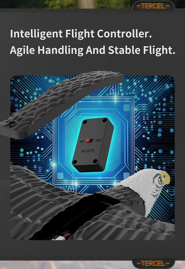 RC Eagle For Kids